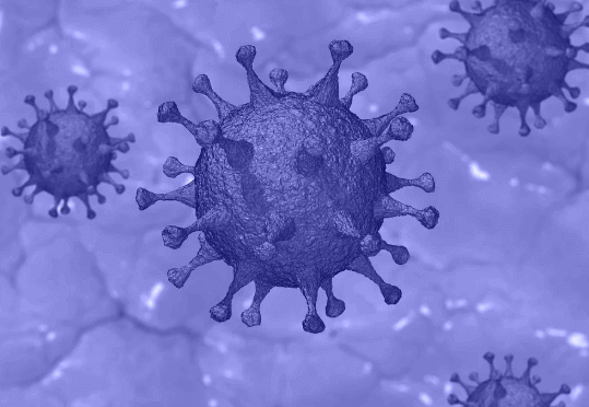 Coronavirus