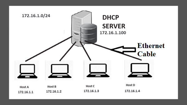 dhcp option